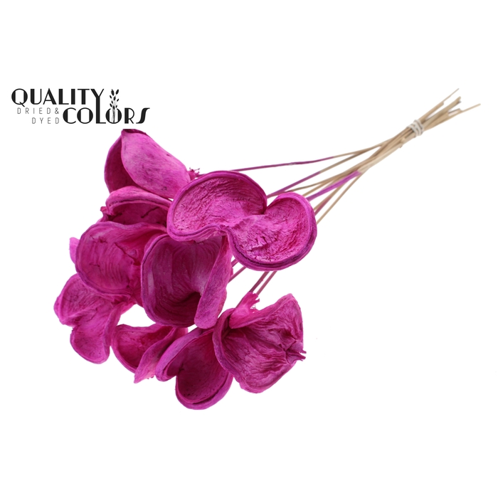 <h4>Badam on stem Intense Lilac</h4>