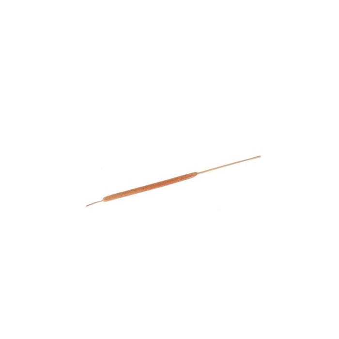 <h4>Branch Typha Small L35 D5mm</h4>