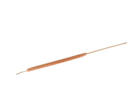 <h4>Branch Typha Small L35 D5mm</h4>
