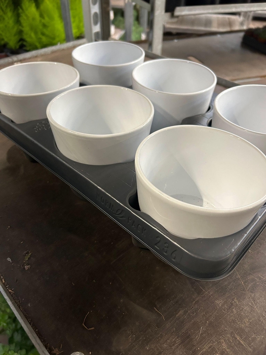 <h4>DECO POT WHITE P12</h4>