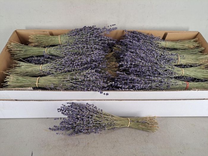 DF Lavendel Bs 80g