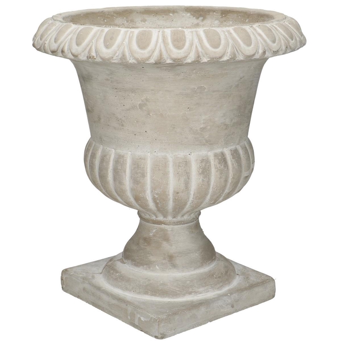 <h4>Zelbio coupe d27.5*30.5cm</h4>