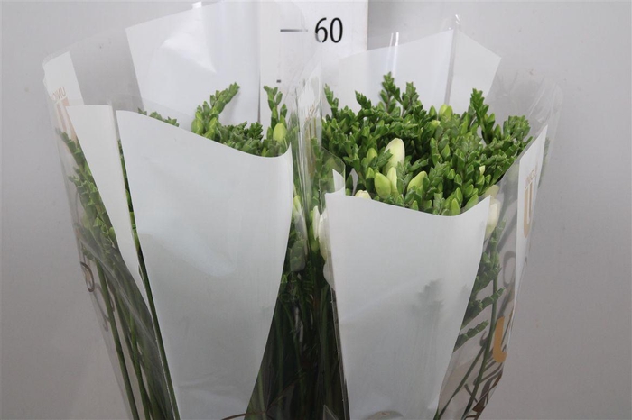 <h4>Fr Du Vivre</h4>