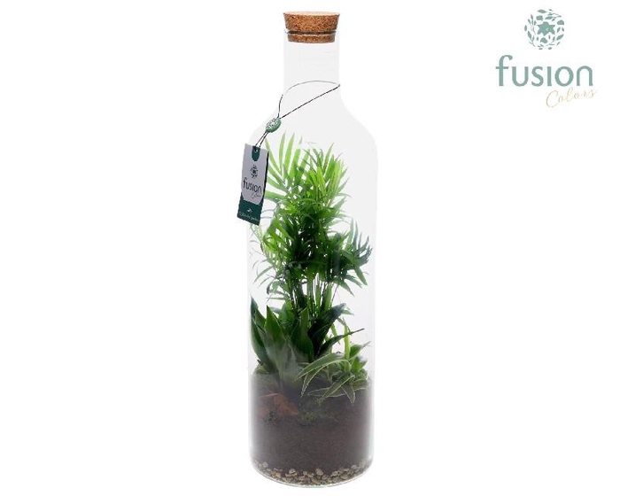 <h4>Arrangementen kamerplanten groen H% glasvaas FC-24.0158FDH</h4>