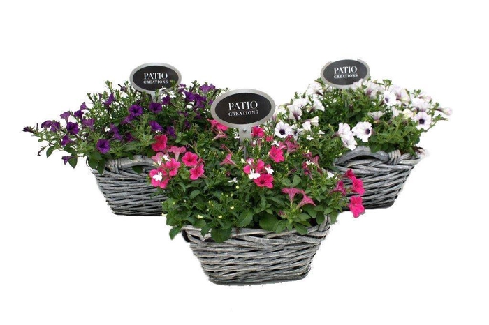 <h4>Arr.   Perkplanten L%</h4>