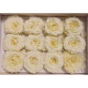 Ro Pres.. Rom Creme (4cm)