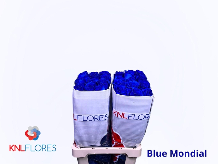 <h4>R GR OV KLB H%</h4>