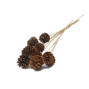 Stick Pine Cone Natural Large