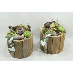 arr4 Amaryllis MBD40 - Hout pot rond