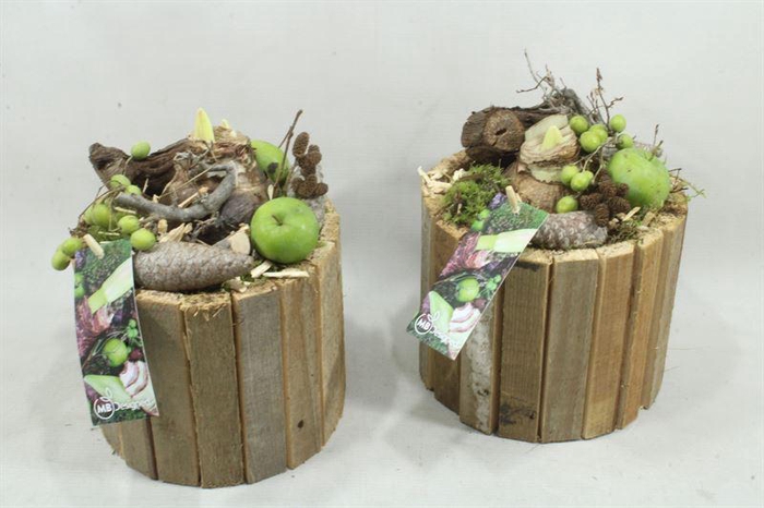 <h4>arr4 Amaryllis MBD40 - Hout pot rond</h4>