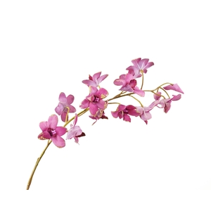 Dendrobium Pink Velvet Diamond FL440048PNK