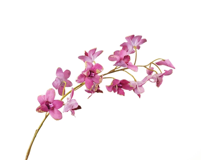 <h4>Dendrobium Pink Velvet Diamond FL440048PNK</h4>