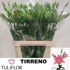 LI LA TIRRENO