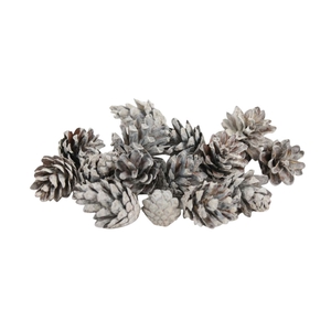 Deco Pinecone Silvester 5kg Frosted