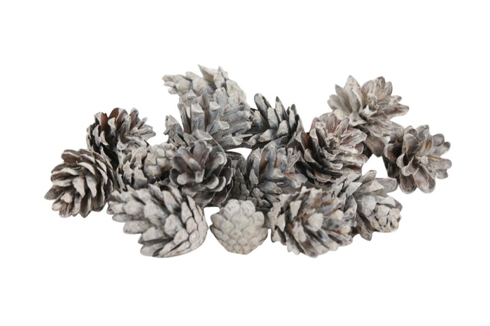 <h4>Deco Pinecone Silvester 5kg Frosted</h4>