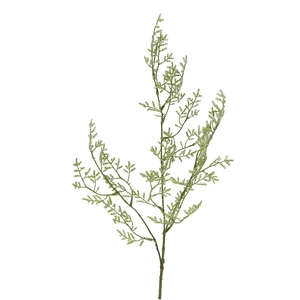 Limonium 90cm