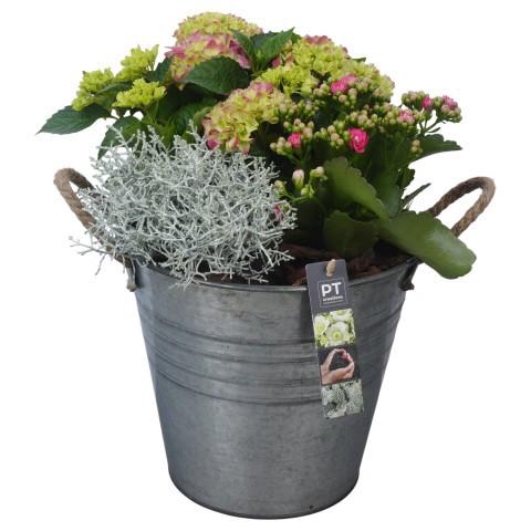<h4>PTSO6019 Arrangement Summer Outdoor in metalen bak</h4>