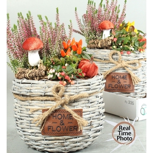 ARR TUINPLANTEN