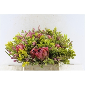 Protea Boeket