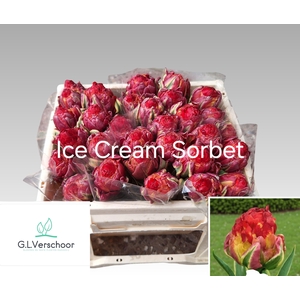 TU DU ICE CREAM SORBET