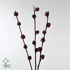 HIBISC TR MERLOT
