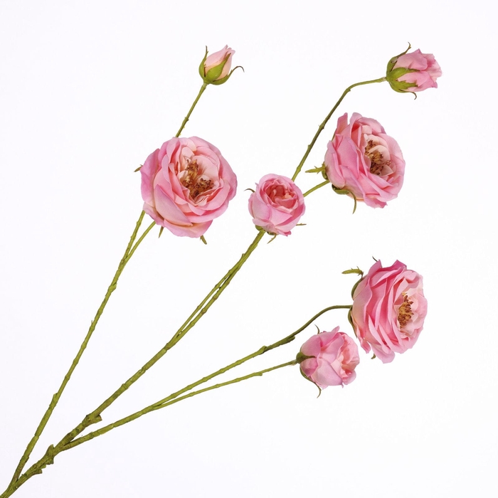 <h4>Rosa Spray Pink  FL440343PNK</h4>