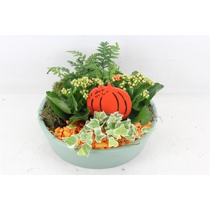 Arr2 Pl - Ker. Schaal 25cm Groen - Oranje