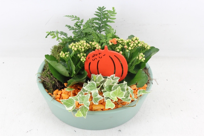 Arr2 Pl - Ker. Schaal 25cm Groen - Oranje
