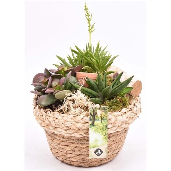 <h4>Jute mand met rand 18cm</h4>