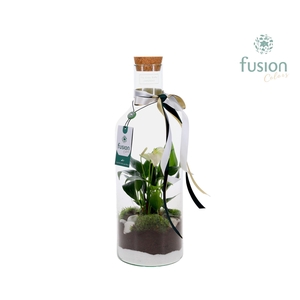 Green Bottle Fles Medium met arrangement