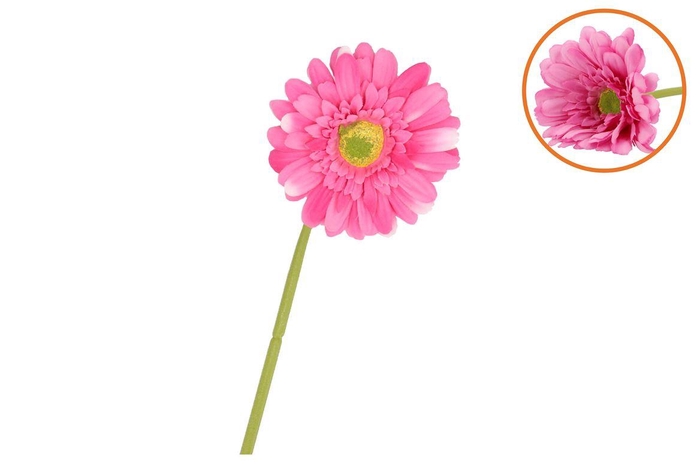 <h4>Silk Gerbera Pink 72cm Nm</h4>
