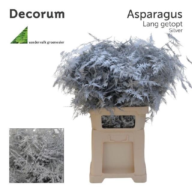 <h4>ASP OV KLB H%</h4>