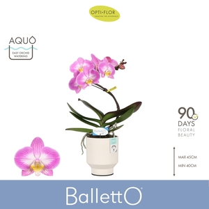 Balletto Spinturn 1 spike in Emilia White Aquo