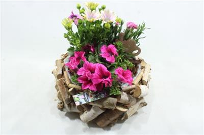 <h4>2568 ROND BLOKJES BT</h4>