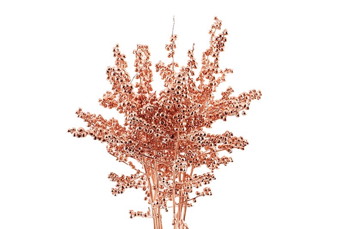 <h4>Ilex Klb Copper</h4>