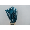 DF Strelitzia Leaf Turquoise