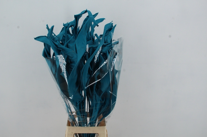 DF Strelitzia Leaf Turquoise