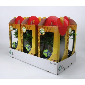 bonsai mix 13 cm in chinese gift box with drip tray