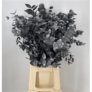 Dr Stab Col Cine Old Black Nero