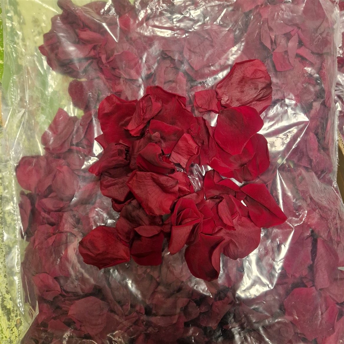 <h4>Ro Pres..... Petals Red 500gr</h4>