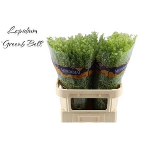 Lep Ru Green Bell