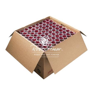 Xl Bulk Red01