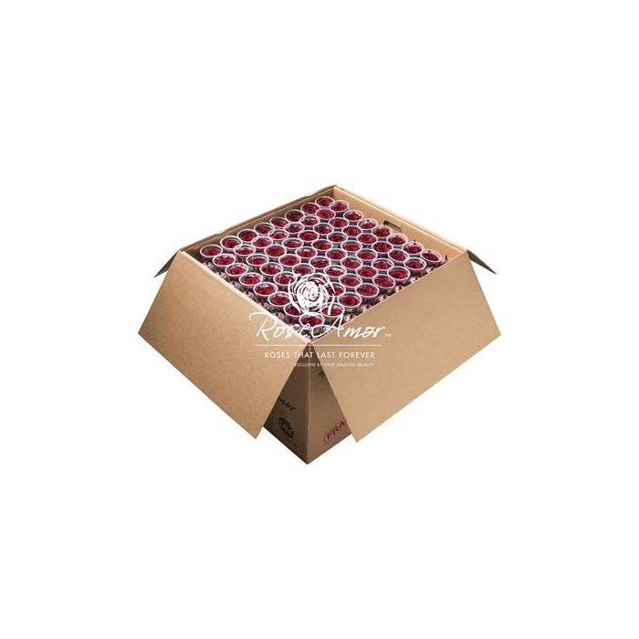 <h4>Xl Bulk Red01</h4>