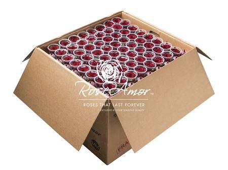 Xl Bulk Red01