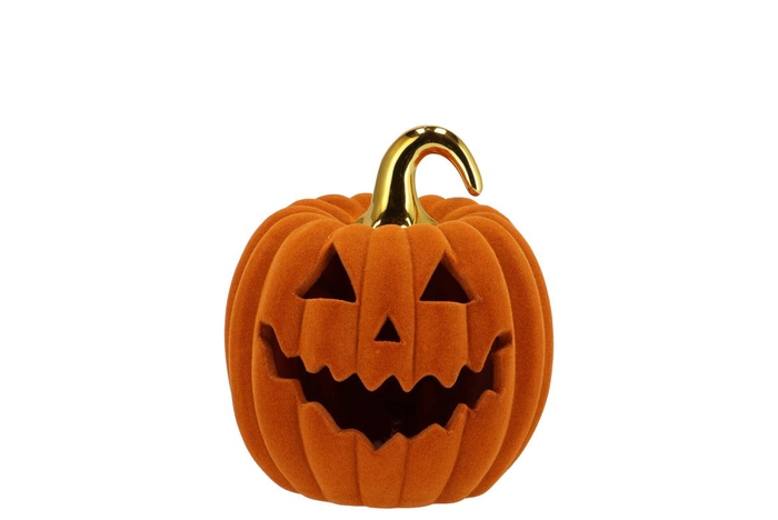 <h4>Autumn Flock Scottish Spice Pumpkin Face Led 13x13x14cm</h4>
