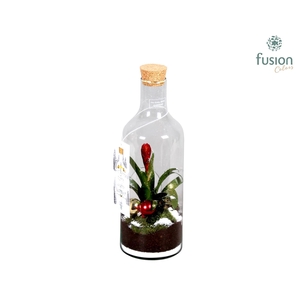 Green Bottle met Bromelia