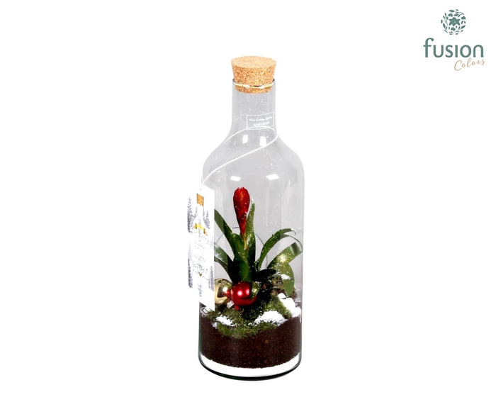 <h4>Green Bottle met Bromelia</h4>