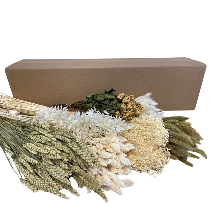 <h4>Droogbloem DIY box assorti 65-75cm</h4>