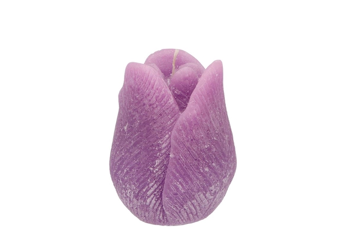 <h4>Candle Tulip Lila 7x8cm</h4>