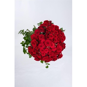 R GR Tr Vermillion Granite